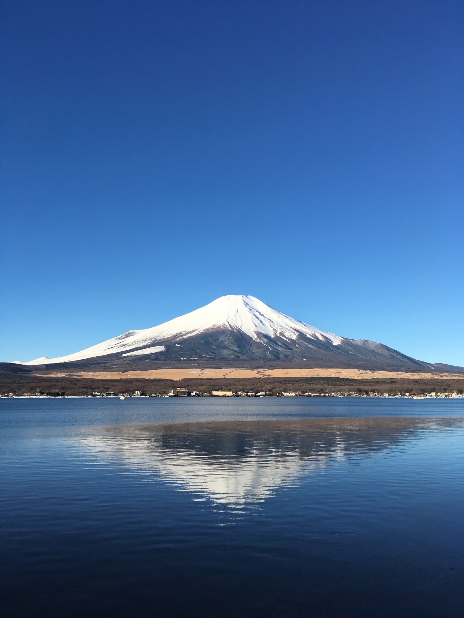 @逆富士