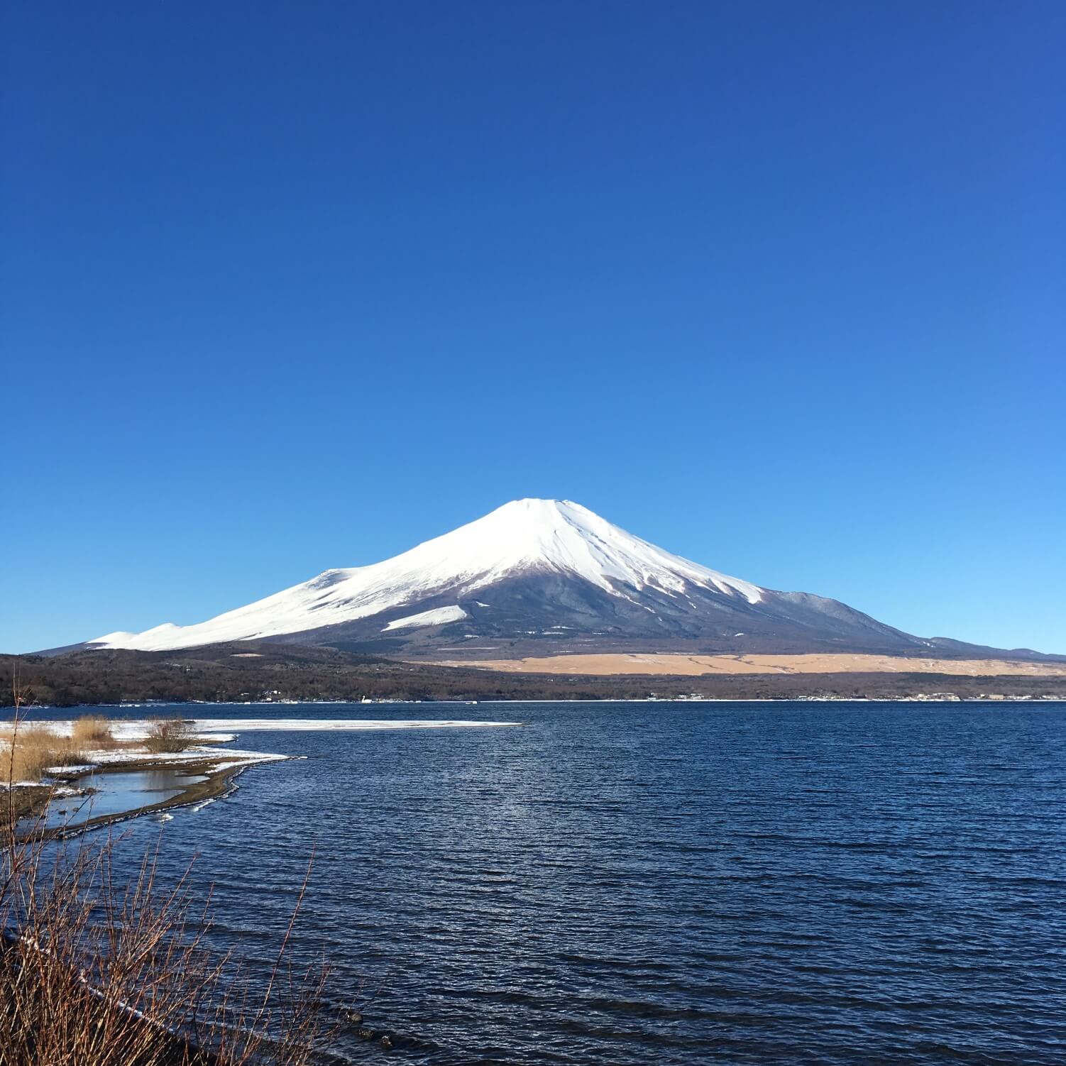 @山中湖公園
