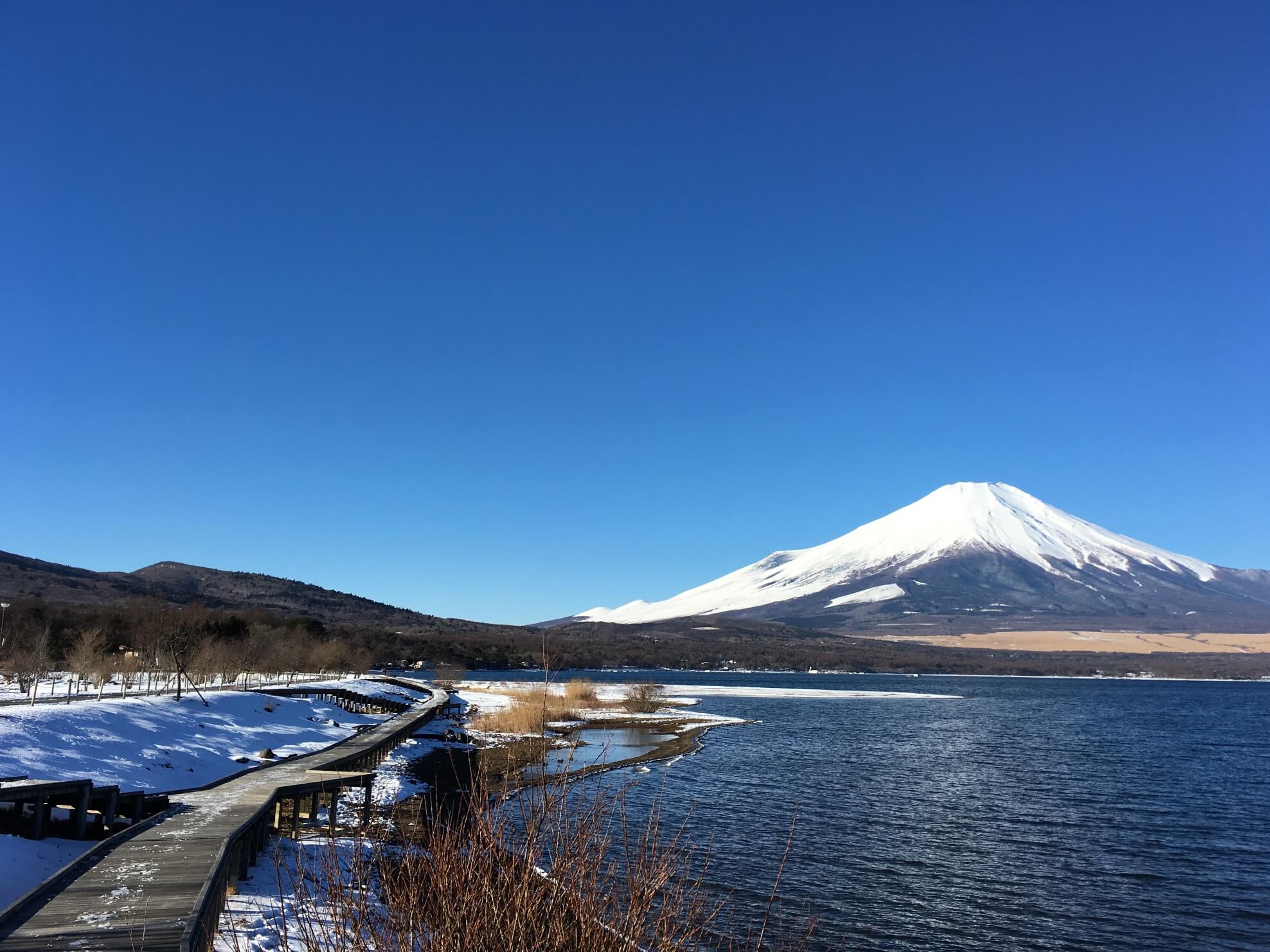 @山中湖公園