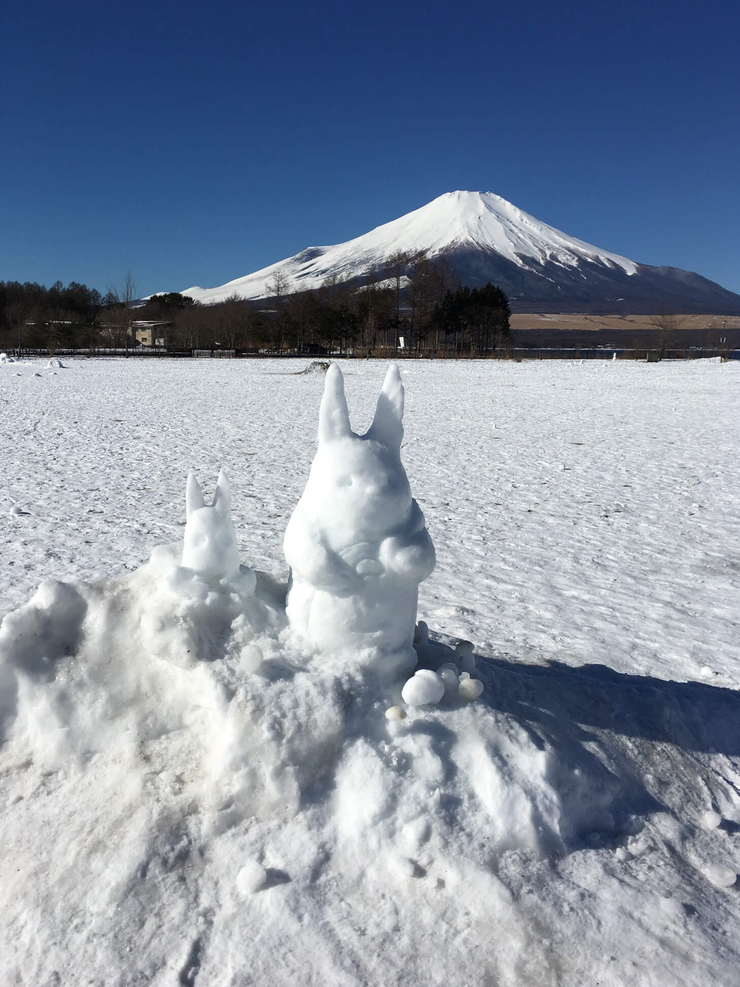 @山中湖公園