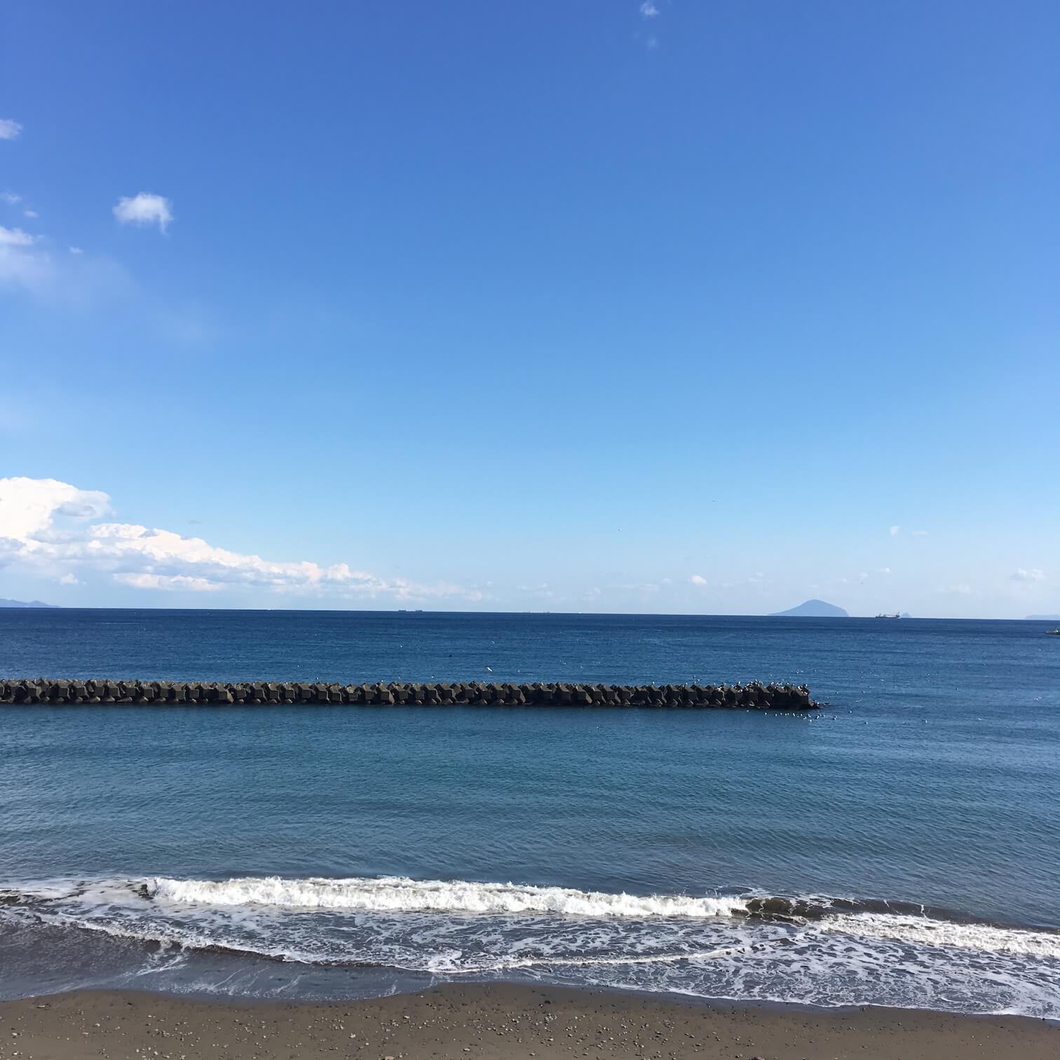 @河津櫻
