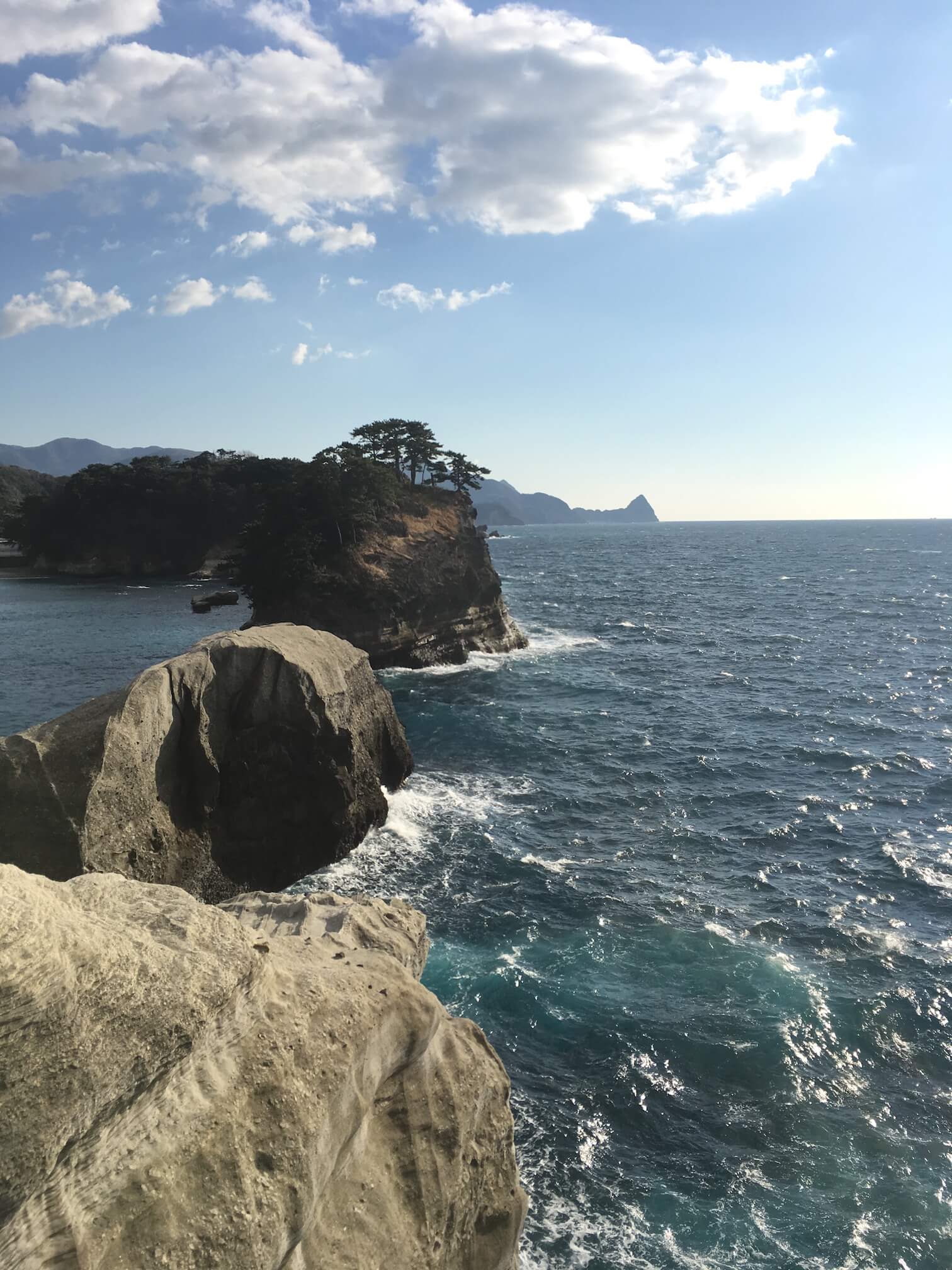 @河津櫻